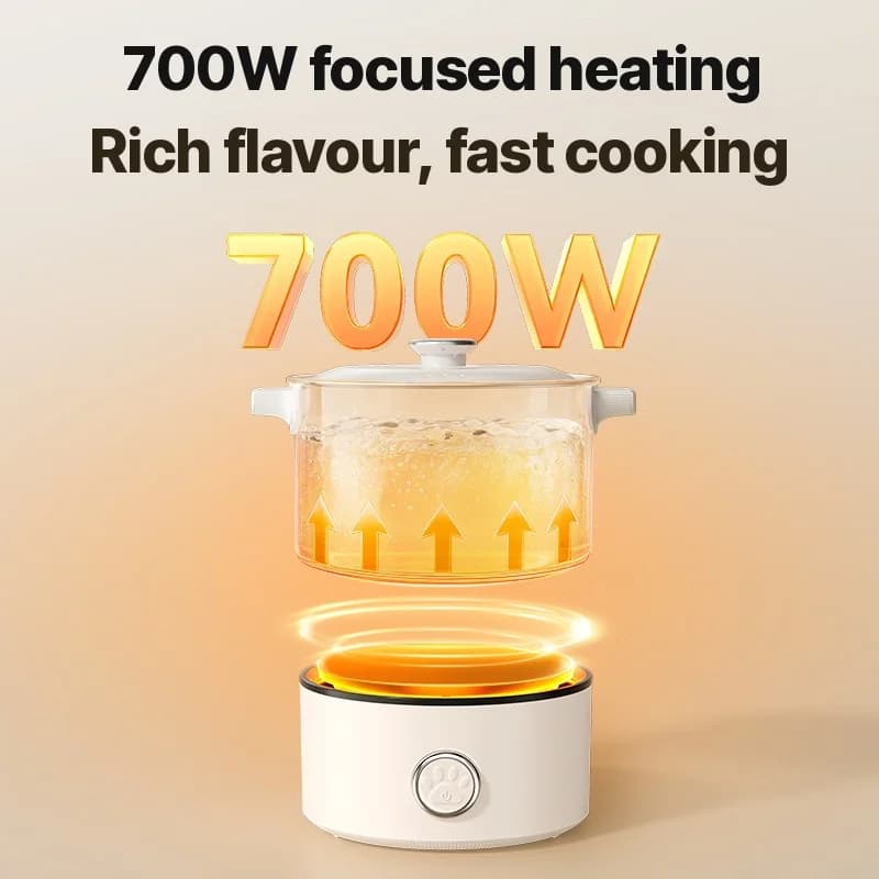 قدر طهي كهربائي محمول قابل للطي 110V-220V 550W/700W